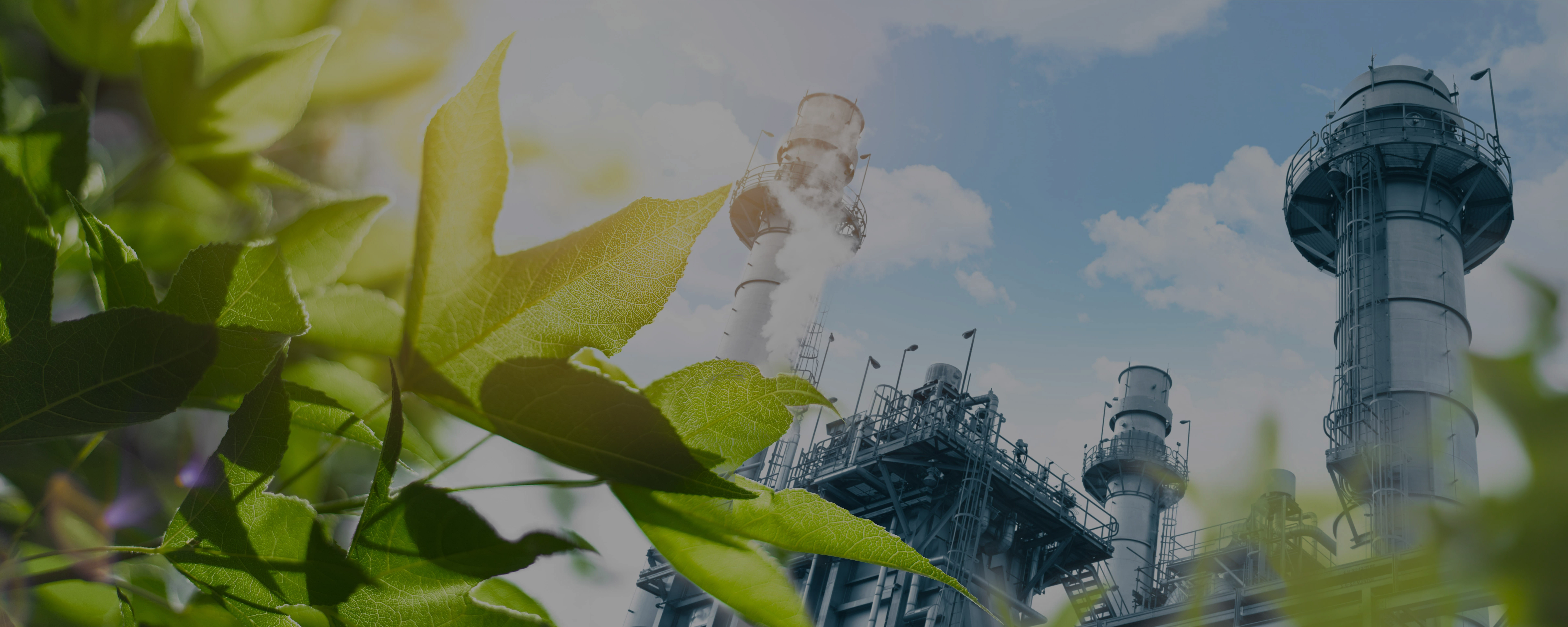 shutterstock-2311791641aaa